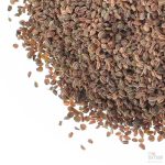 Hele sellerifrø, konvensjonell