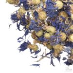 Nærbilde av hele tørkede kornblomster med blå og gylne toner.