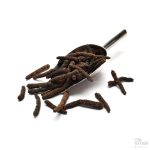 Detaljbilde av tørket Lampung langpepper fra Indonesia, med varm og krydret smak.