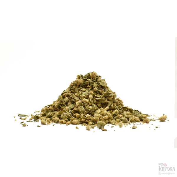 Håndplukket premium meksikansk oregano fra nordlige Mexico – naturlig skåret og tørket, presentert i en liten haug