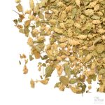 Premium meksikansk oregano i nærbilde – tydelig blomsterandel og fine blader