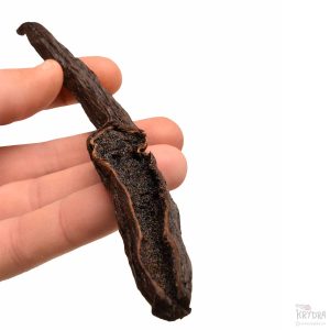 En hånd som holder en åpnet Pompona-vaniljestang, med synlige frø og tekstur.