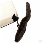 Knivblad som skraper ut frø fra en delt Pompona-vaniljestang på hvit bakgrunn.